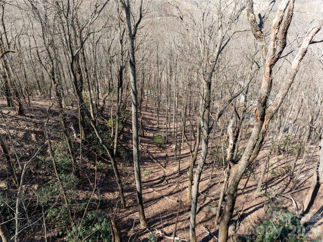 99999 Laurel Drive 12&13, Mills River, NC 28759