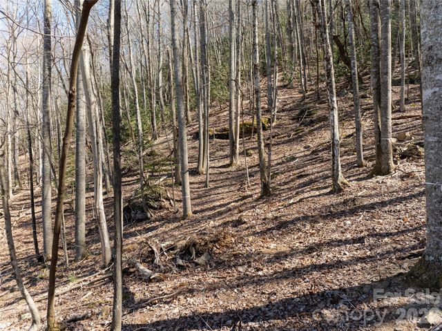 99999 Laurel Drive 12&13, Mills River, NC 28759