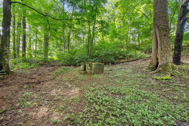 924 Cline Ridge Rd, Winchester, TN 37398