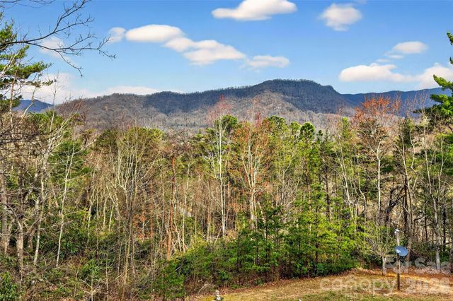 182 Baby Fox Drive, Marion, NC 28752