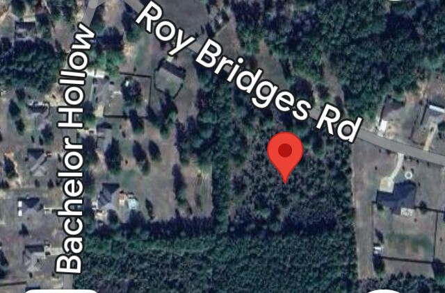 TBD Roy Bridges Rd, Leesville, LA 71446