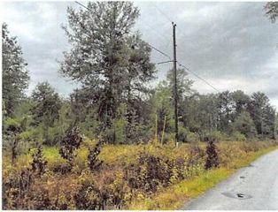 TBD Roy Bridges Rd, Leesville, LA 71446