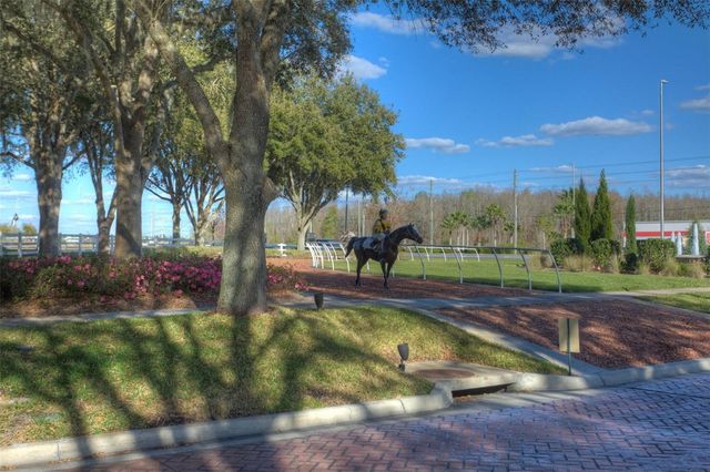 26923 AFFIRMED DRIVE, Wesley Chapel, FL 33544
