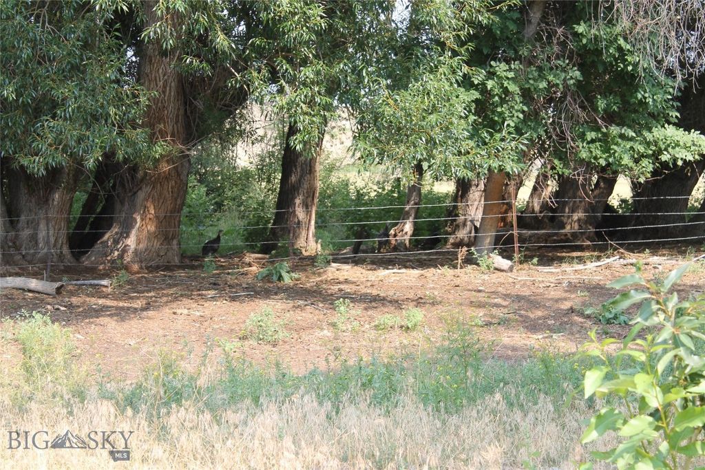 126 Upper Deer Creek, Big Timber, MT 59011 photo 38