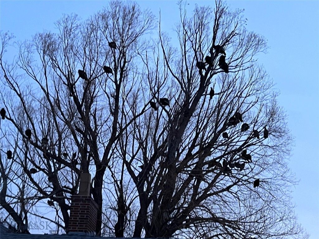 126 Upper Deer Creek, Big Timber, MT 59011 photo 40