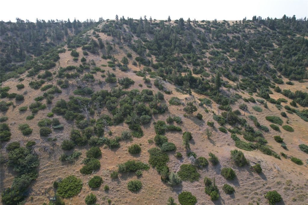 126 Upper Deer Creek, Big Timber, MT 59011 photo 45