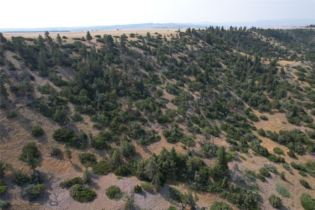 126 Upper Deer Creek, Big Timber, MT 59011 photo 46