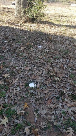 620 Faulkner Avenue, Coldspring, TX 77331