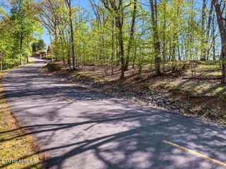351 Chelaque Way, Mooresburg, TN 37811