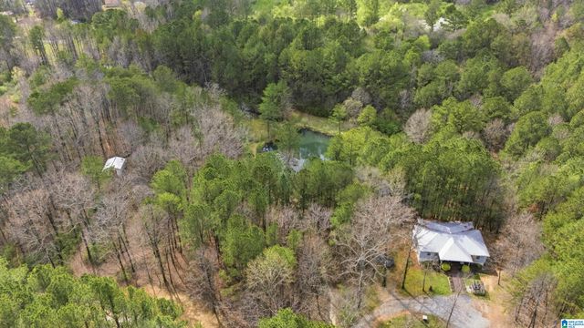4150 BURR DRIVE, Brookside, AL 35214