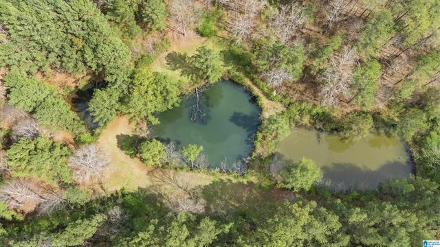 4150 BURR DRIVE, Brookside, AL 35214