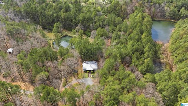 4150 BURR DRIVE, Brookside, AL 35214