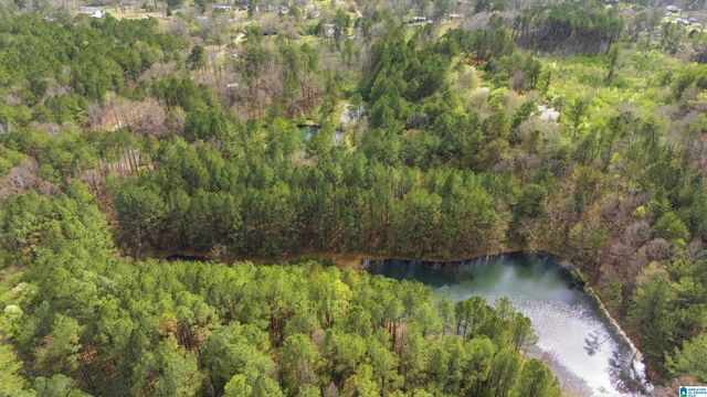 4150 BURR DRIVE, Brookside, AL 35214