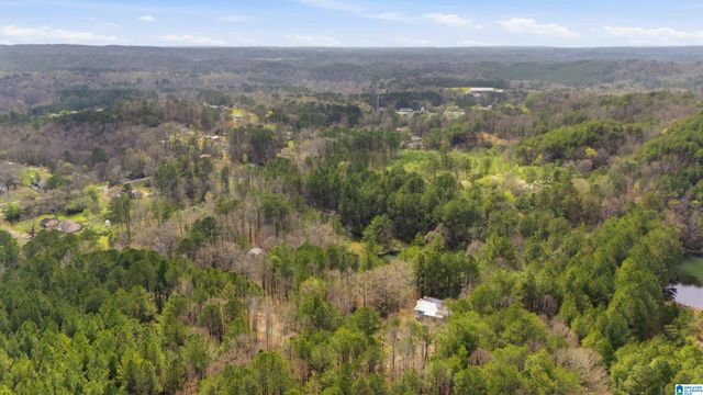 4150 BURR DRIVE, Brookside, AL 35214