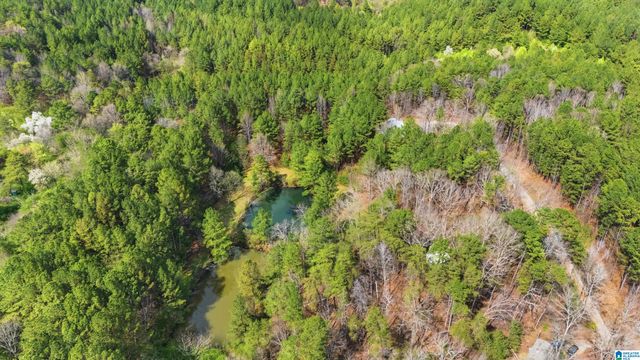 4150 BURR DRIVE, Brookside, AL 35214