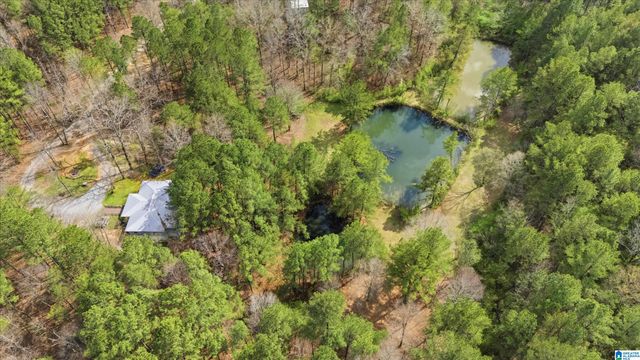 4150 BURR DRIVE, Brookside, AL 35214