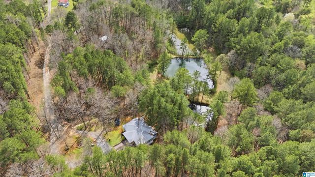 4150 BURR DRIVE, Brookside, AL 35214