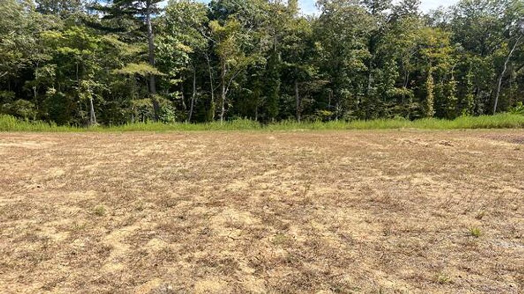 452 Tulip Poplar Drive, Moncks Corner, SC 29461