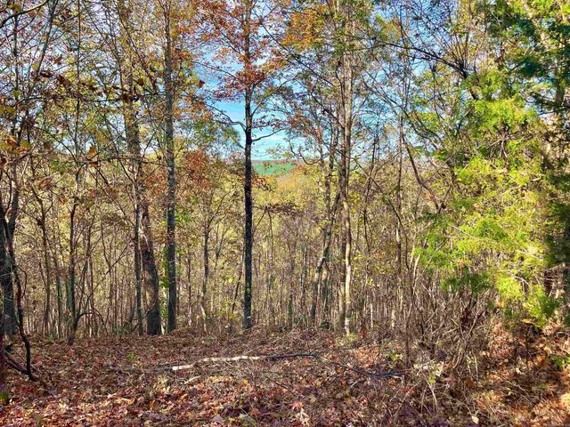 40 Eagle Ridge Dr., Greers Ferry, AR 72067