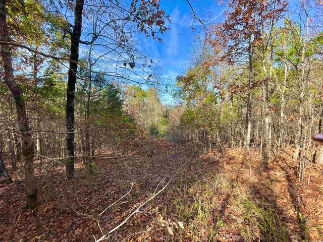 40 Eagle Ridge Dr., Greers Ferry, AR 72067