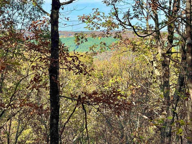 40 Eagle Ridge Dr., Greers Ferry, AR 72067
