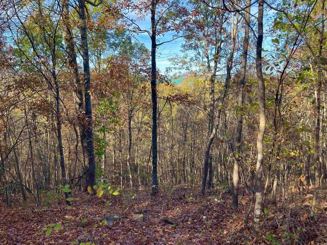 40 Eagle Ridge Dr., Greers Ferry, AR 72067