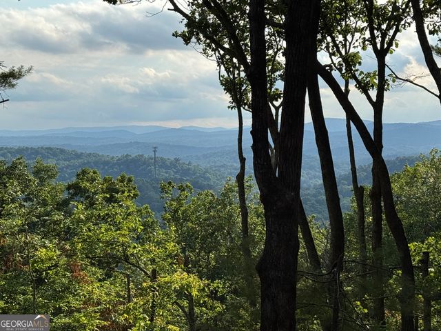 35 Davenport Court Lane, Blue Ridge, GA 30513