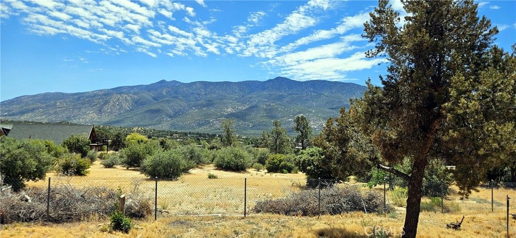 Image 11 of property listing at 60543 St Bernard, Mountain Center, CA 92561