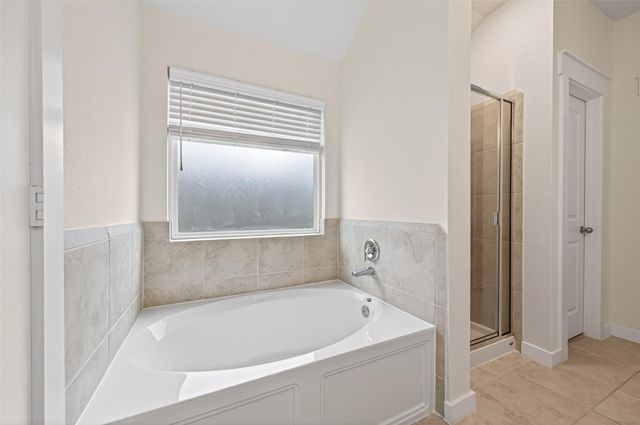 12116 Brazos Drive, Willis, TX 77378