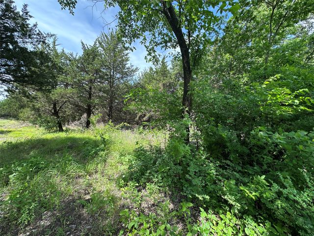 3360 Old Sherman Road, Whitesboro, TX 76273