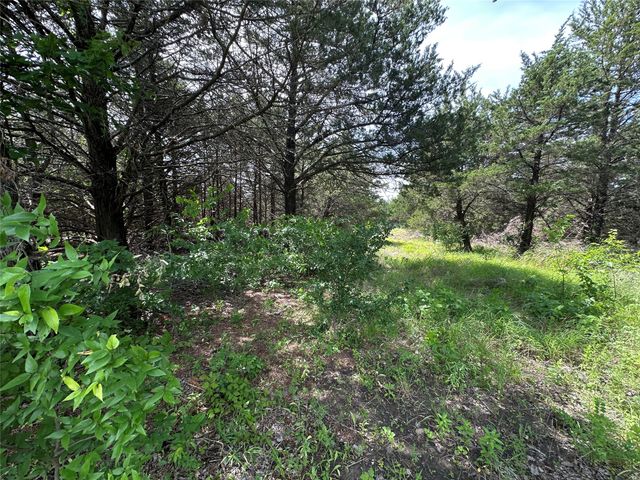 3360 Old Sherman Road, Whitesboro, TX 76273