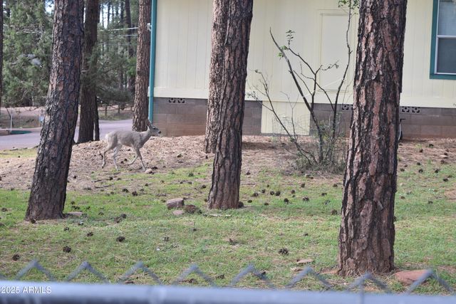 8688 W LUFKIN Drive, Pine, AZ 85544