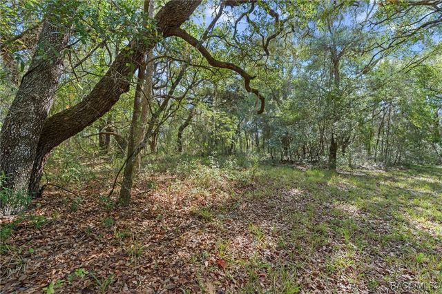 4290 W Norvell Bryant Highway, Crystal River, FL 34429