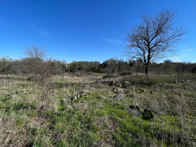 343 Palmilla Drive, Gordonville, TX 76245