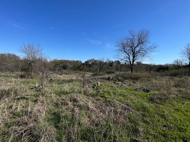 343 Palmilla Drive, Gordonville, TX 76245