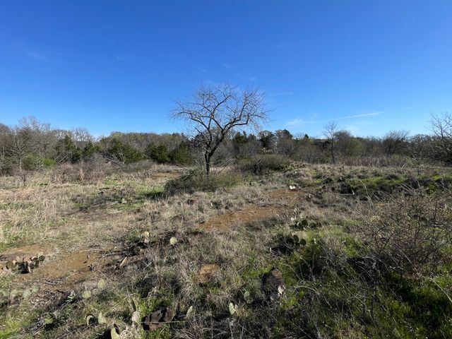 343 Palmilla Drive, Gordonville, TX 76245