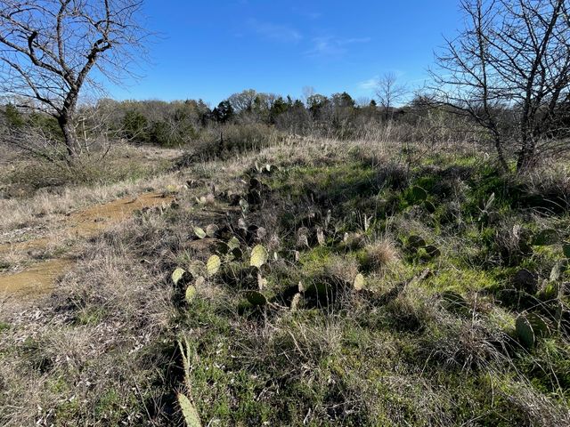 343 Palmilla Drive, Gordonville, TX 76245