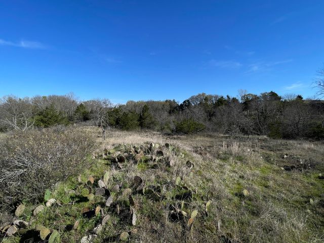 343 Palmilla Drive, Gordonville, TX 76245