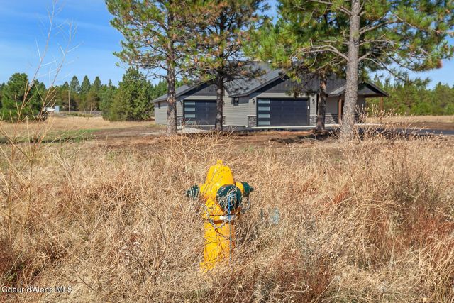 26979 Asulkan Street, Athol, ID 83801
