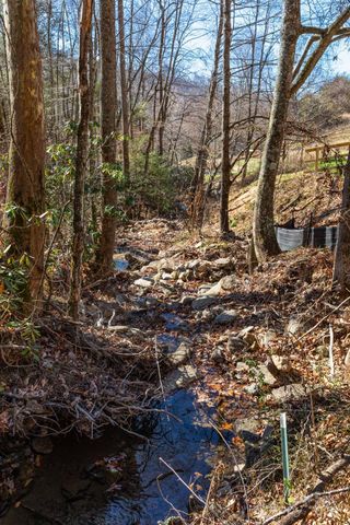 000 Cook Cove Road 2, Weaverville, NC 28787