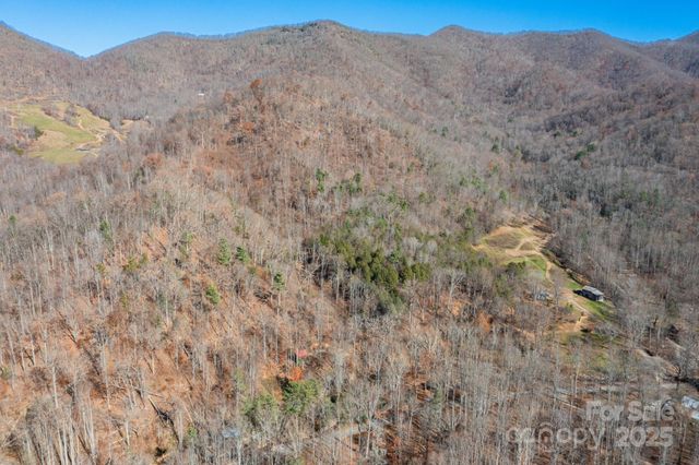 000 Cook Cove Road 2, Weaverville, NC 28787