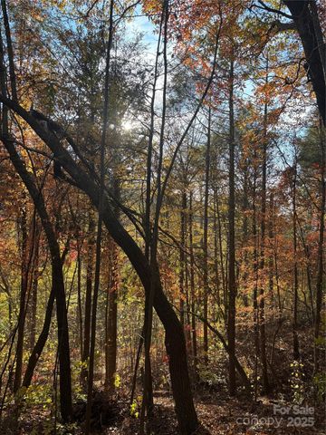 000 Cook Cove Road 2, Weaverville, NC 28787