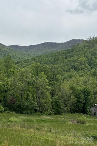 000 Cook Cove Road 2, Weaverville, NC 28787