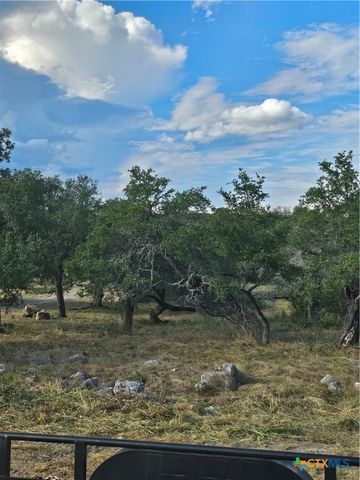 10140 Rebecca Creek Road, Spring Branch, TX 78070