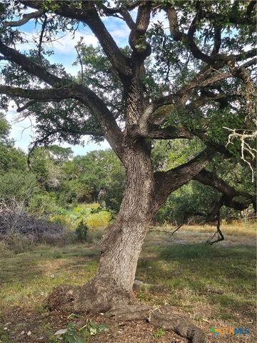 10140 Rebecca Creek Road, Spring Branch, TX 78070