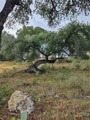 10140 Rebecca Creek Road, Spring Branch, TX 78070