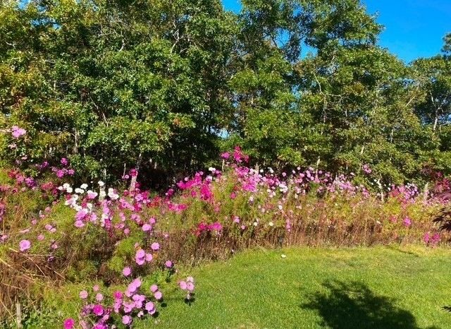 45 Snapping Bow, Plymouth, MA 02360