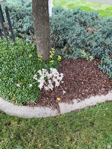 499 E 300 N, Alpine, UT 84004