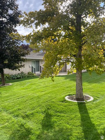 499 E 300 N, Alpine, UT 84004