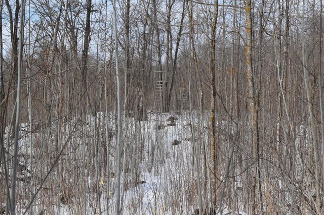 42810 County Highway 26, Rochert, MN 56578